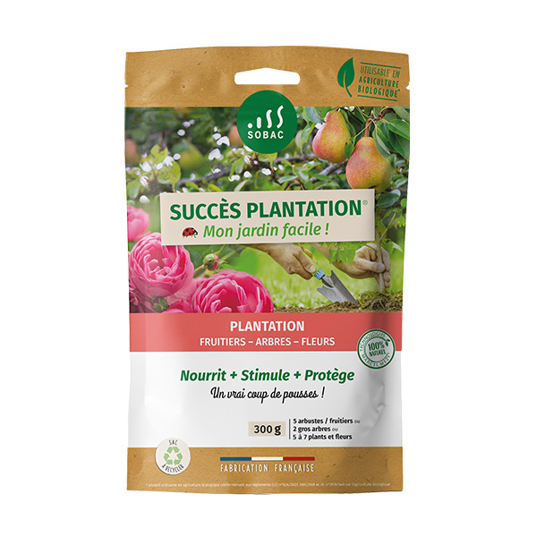 Succès Plantation SOBAC sachet 300g